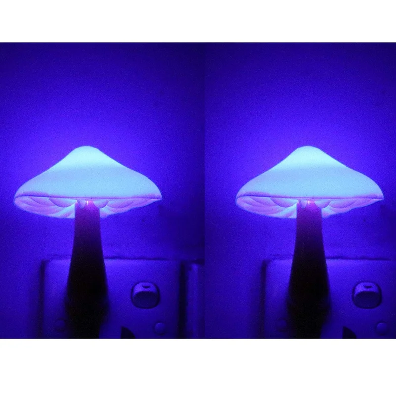 lightsdaddy494094