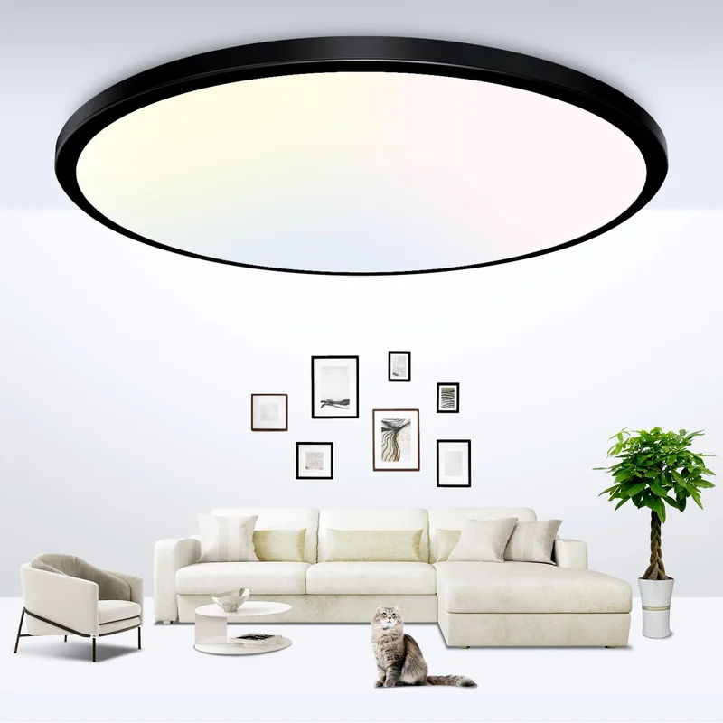 lightsdaddy501354