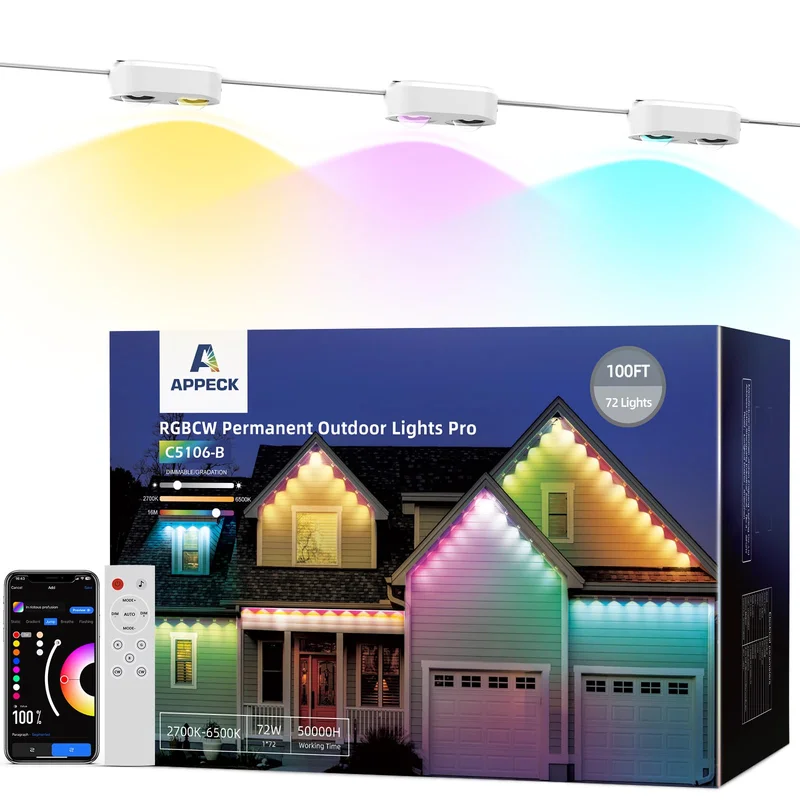 lightsdaddy502764