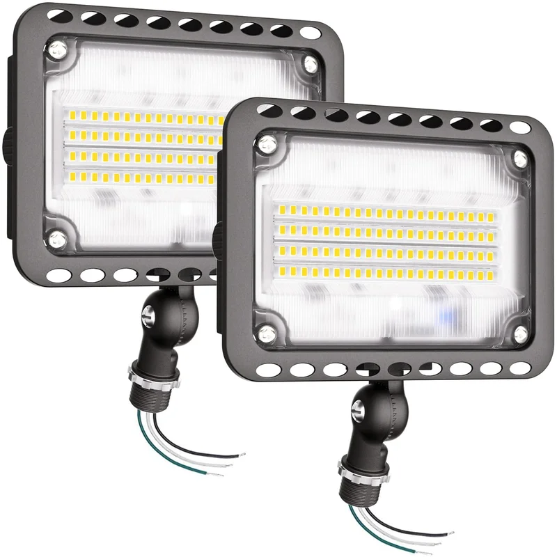 lightsdaddy504675
