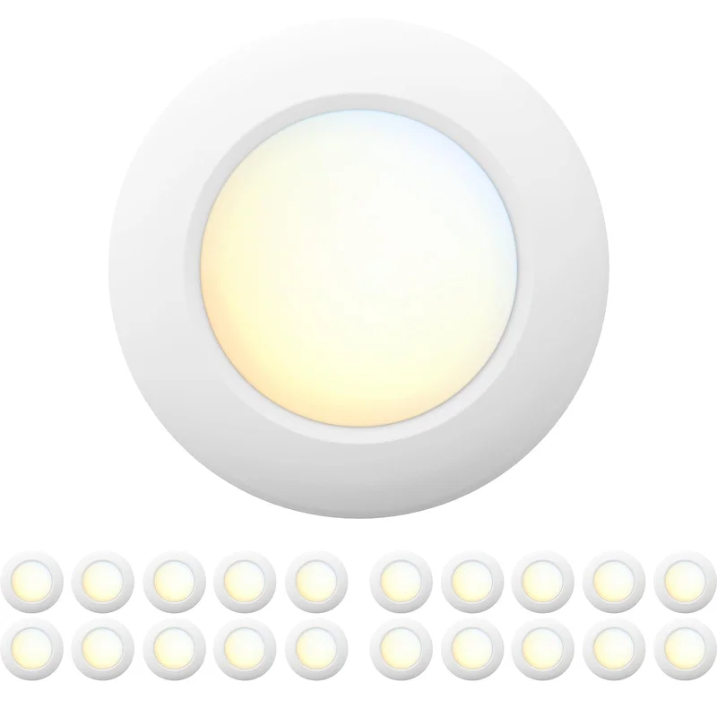 lightsdaddy505459