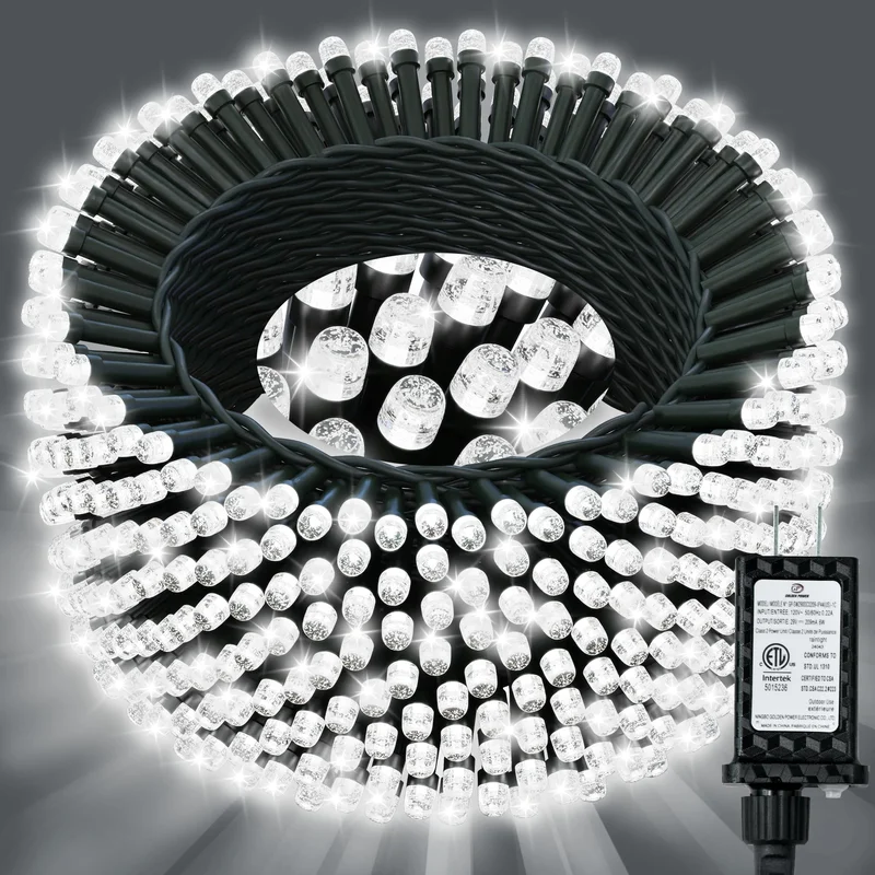 lightsdaddy507815