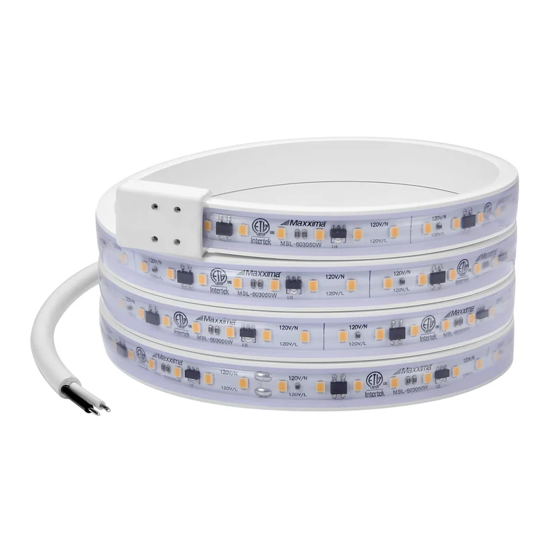 lightsdaddy508184