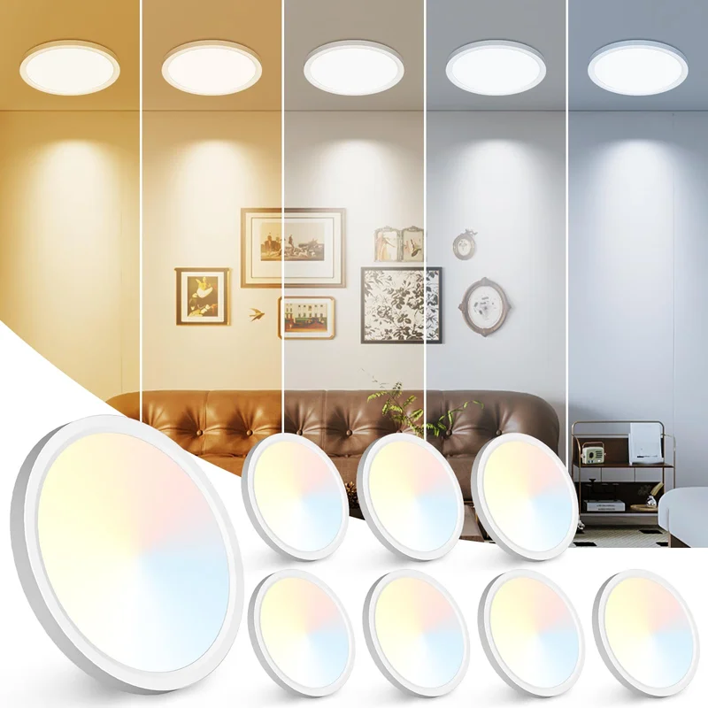 lightsdaddy510048
