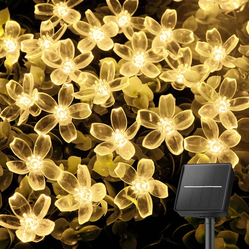 lightsdaddy513305