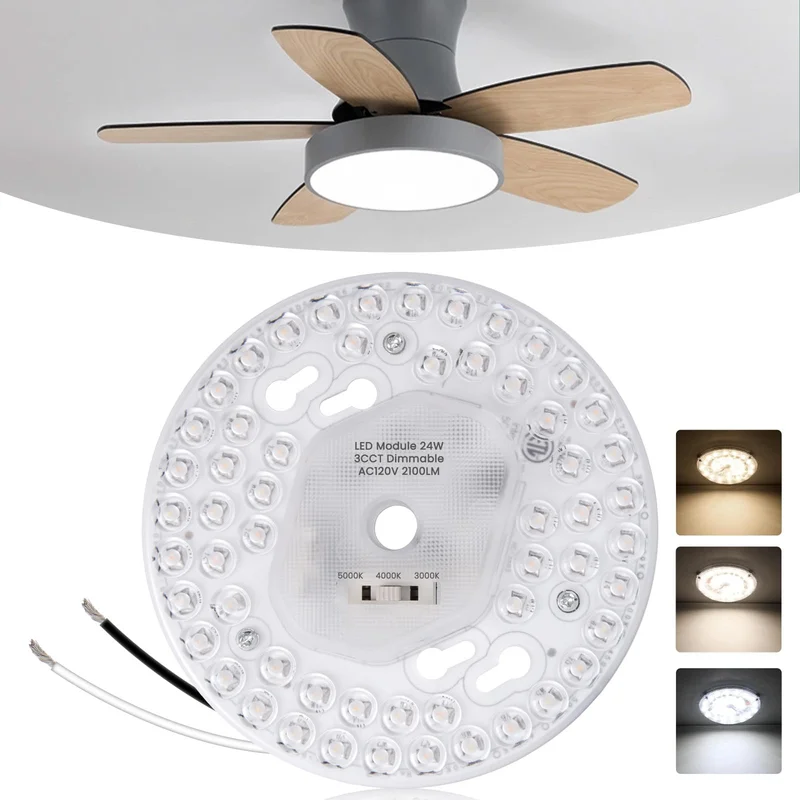lightsdaddy517063
