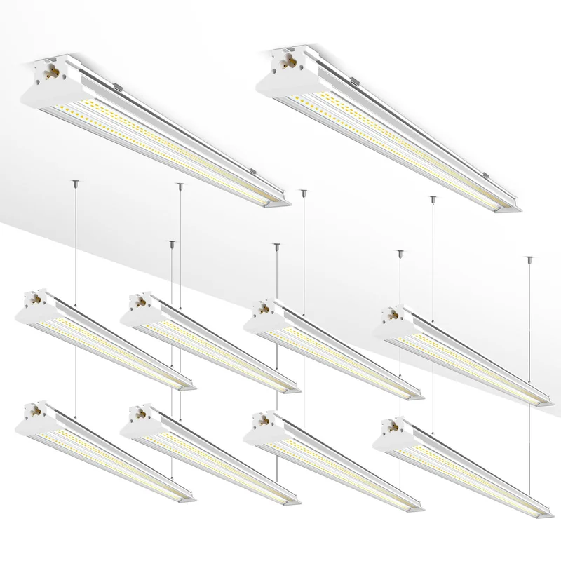 lightsdaddy524636