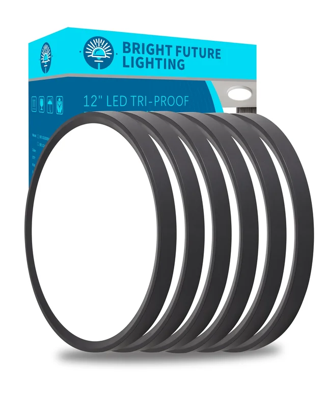 lightsdaddy529857