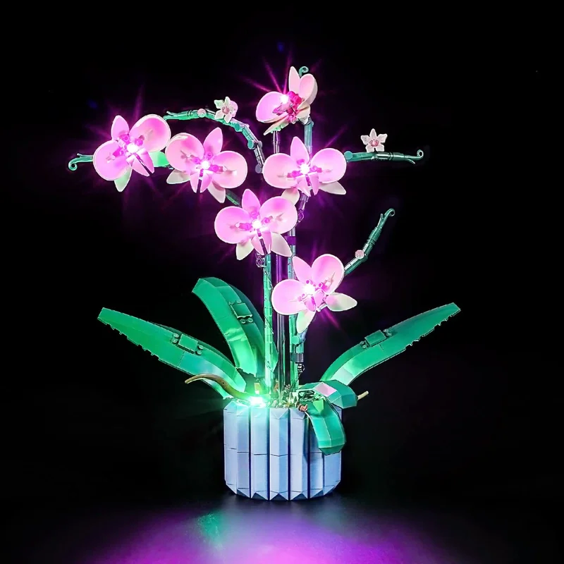 lightsdaddy530092