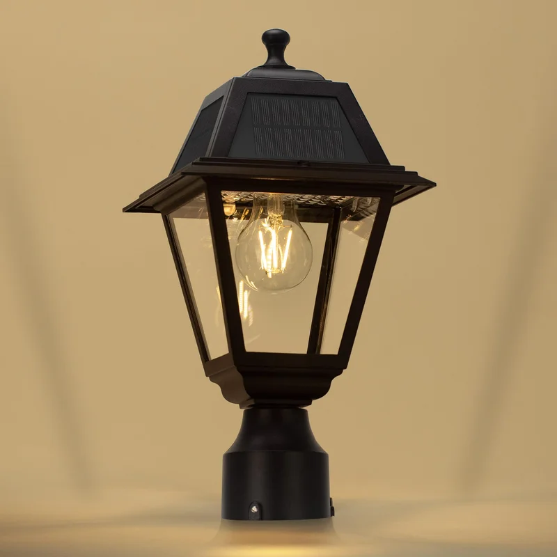 lightsdaddy537496