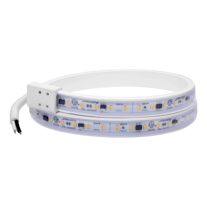 lightsdaddy541047
