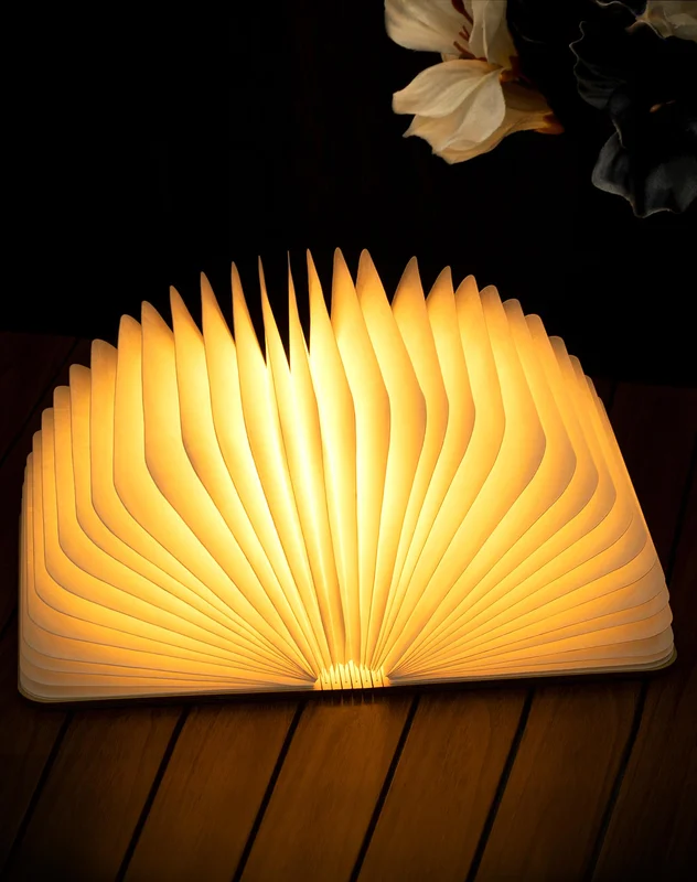 lightsdaddy541522