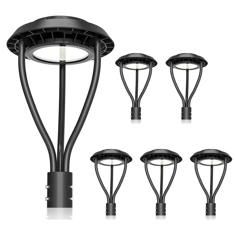 lightsdaddy542259
