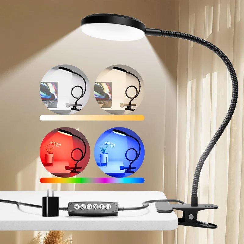 lightsdaddy554984