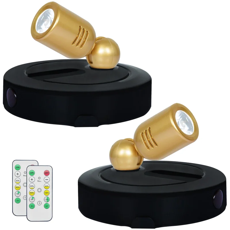 lightsdaddy559575