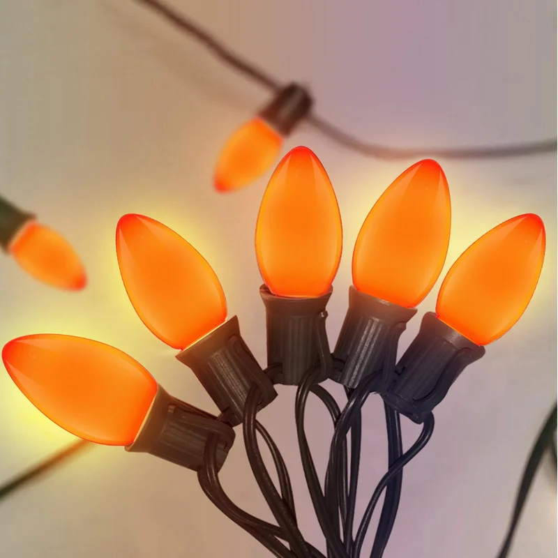 lightsdaddy559724