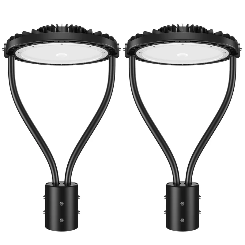 lightsdaddy569042