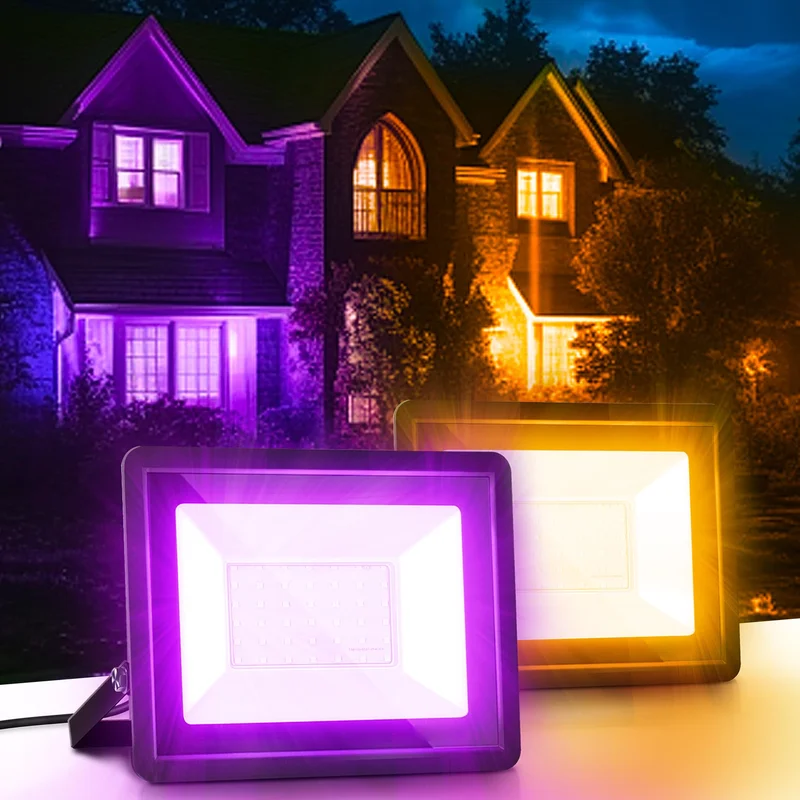 lightsdaddy574207