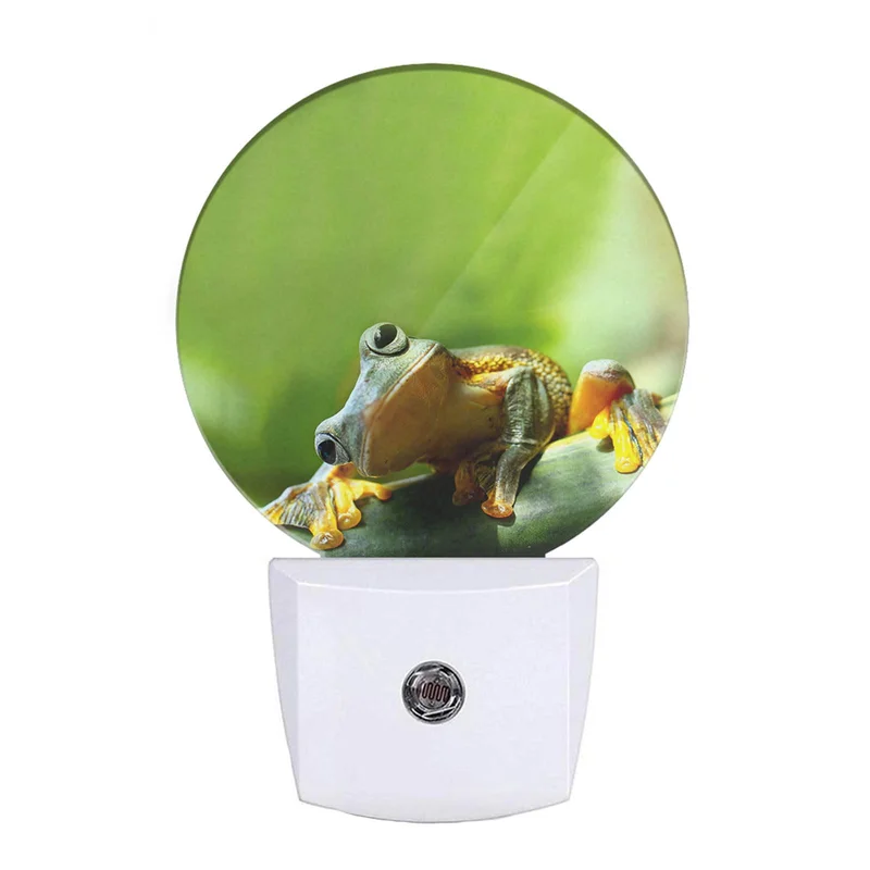 lightsdaddy574400