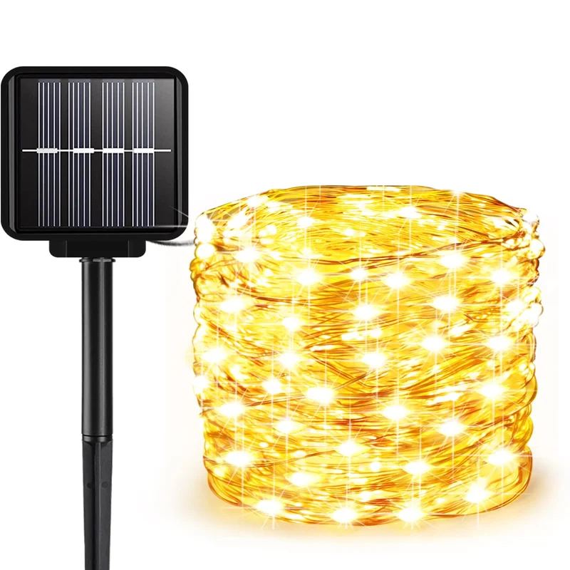 lightsdaddy581418