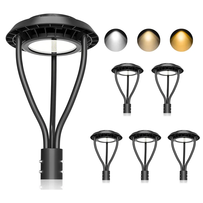 lightsdaddy581443