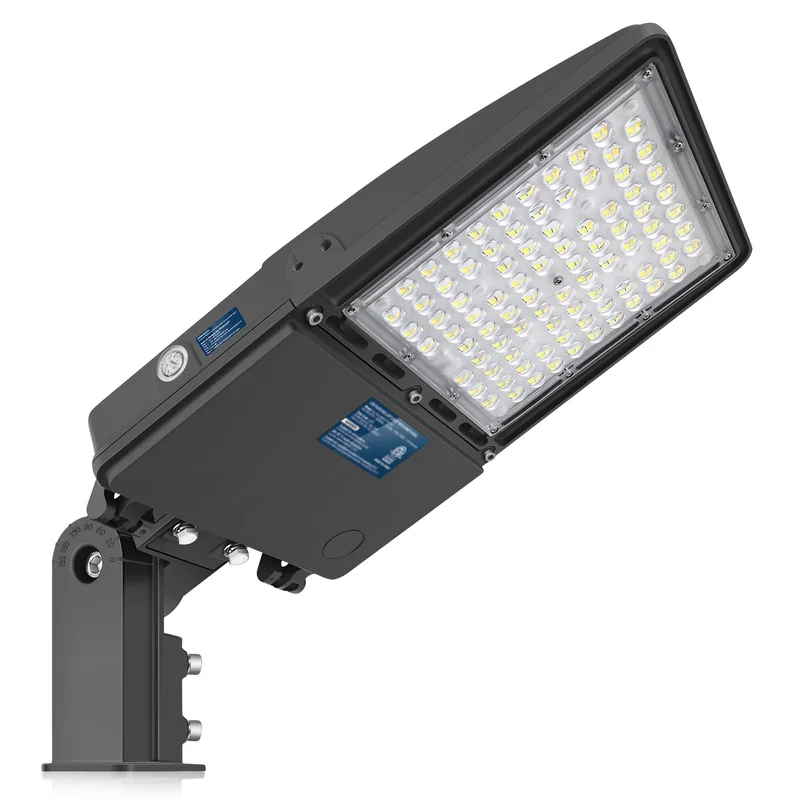 lightsdaddy582085