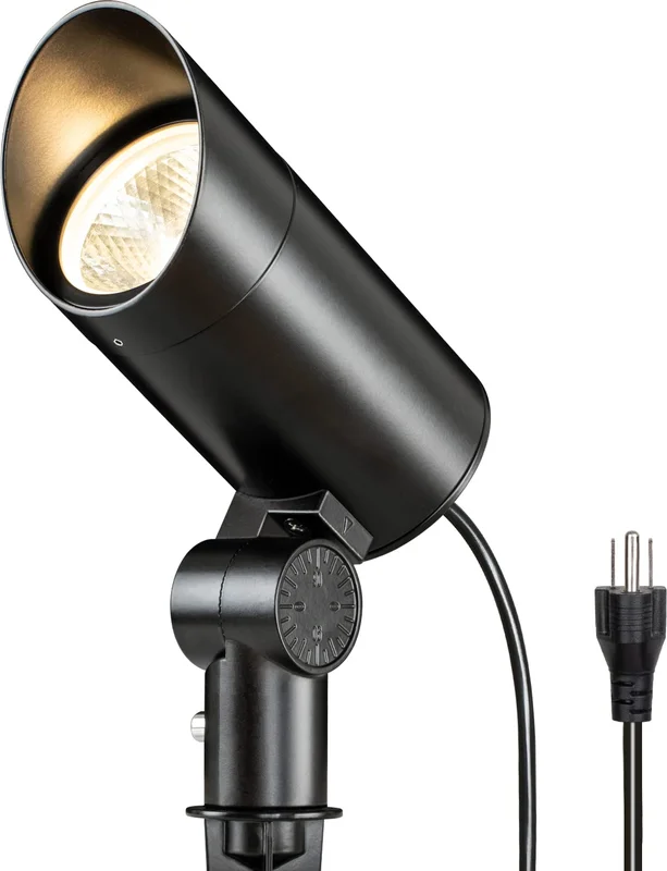 lightsdaddy583767
