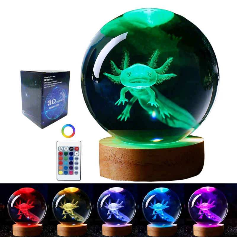 lightsdaddy584532