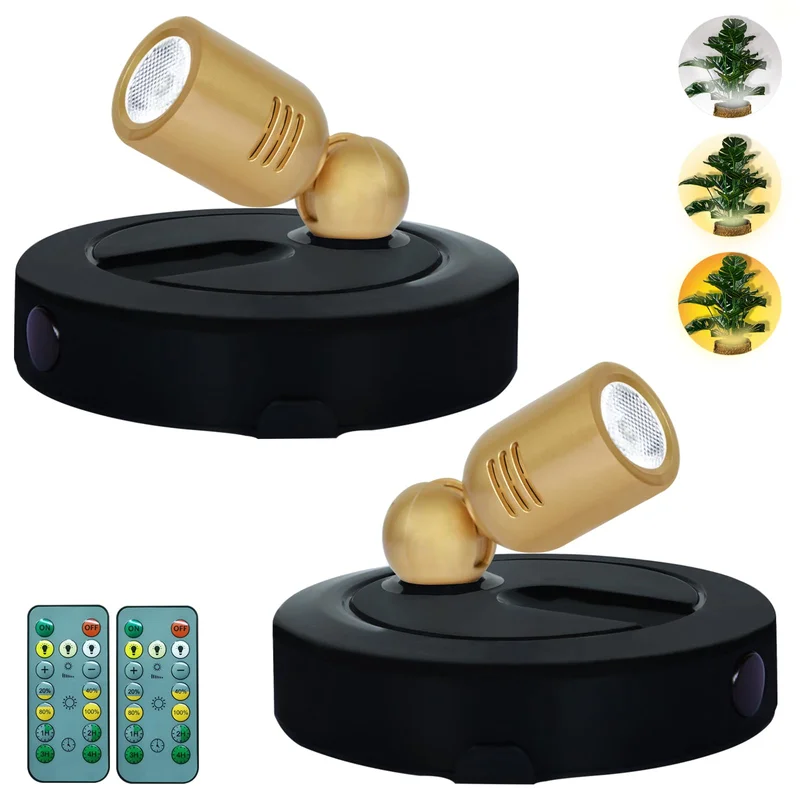 lightsdaddy603505