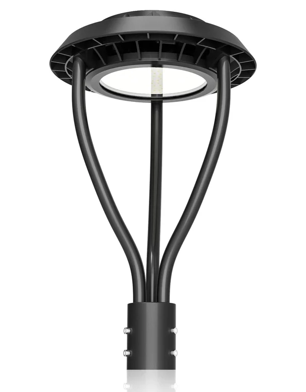 lightsdaddy621920