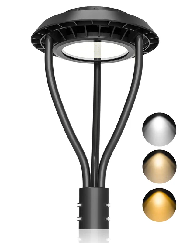 lightsdaddy624944