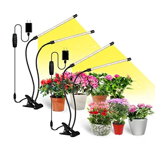 lightsdaddy633157