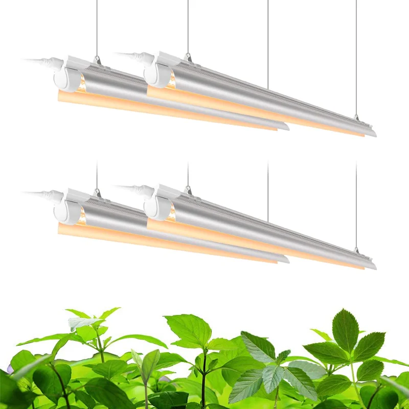 lightsdaddy633304