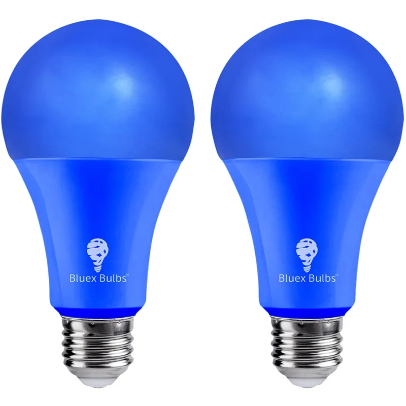 lightsdaddy644439