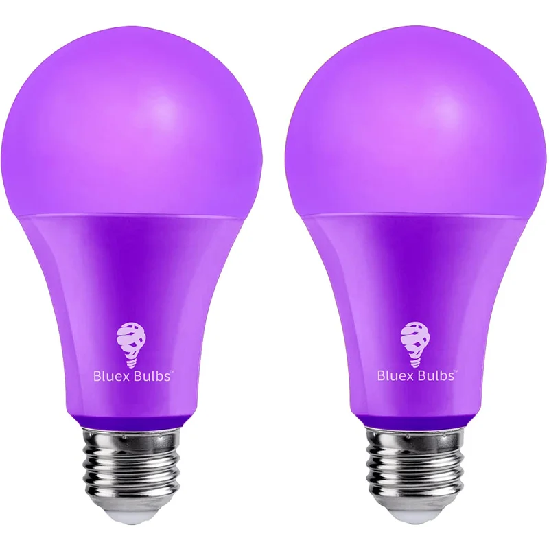 lightsdaddy644725