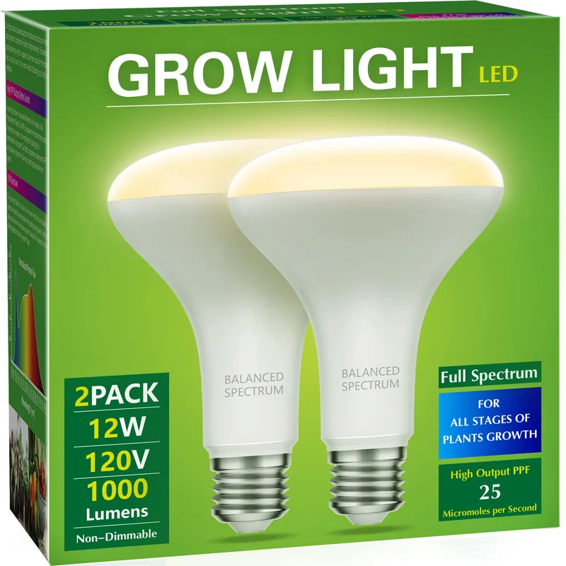 lightsdaddy644965