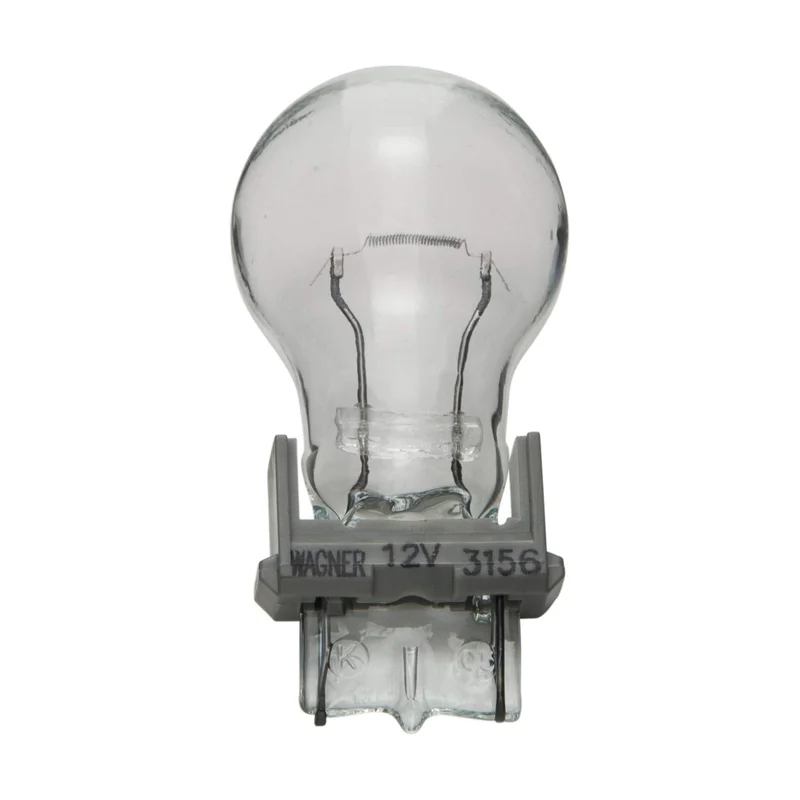 lightsdaddy648242