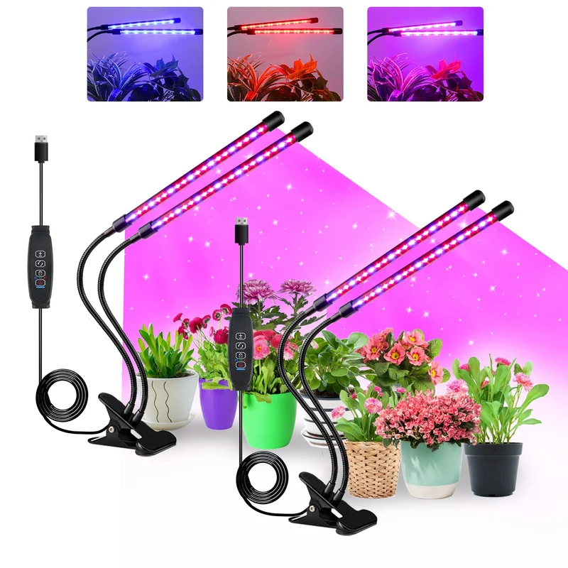 lightsdaddy656047