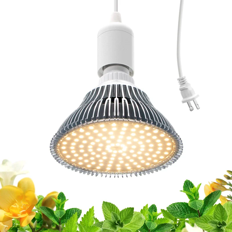 lightsdaddy656061
