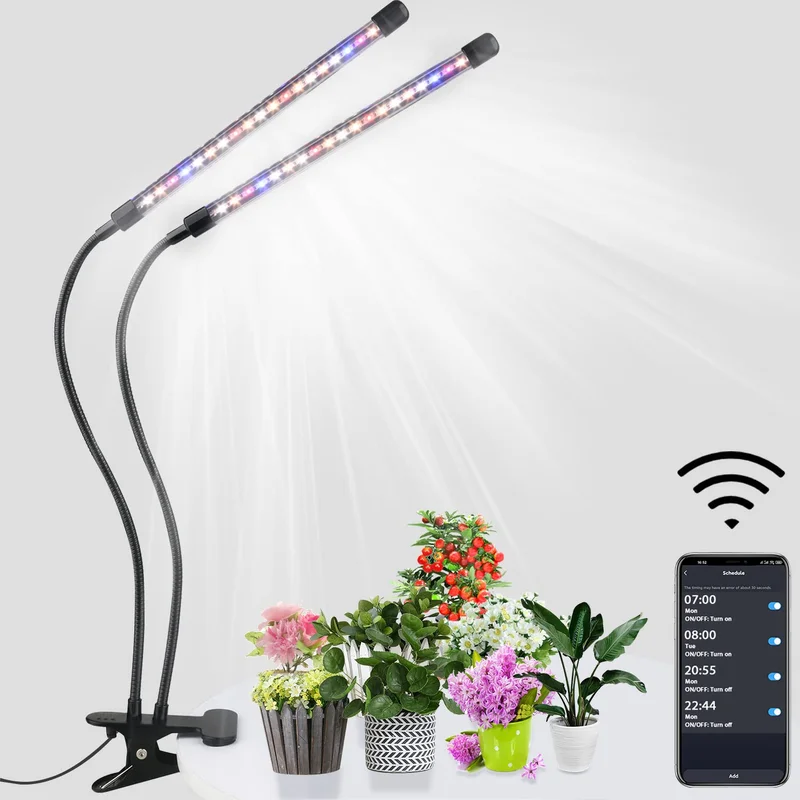 lightsdaddy656307