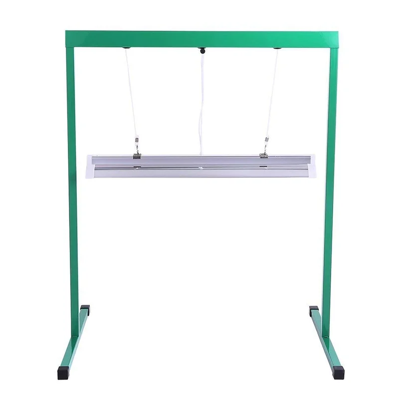 lightsdaddy656351