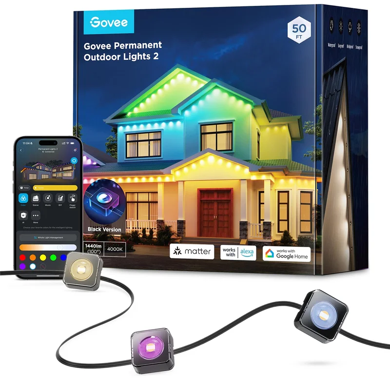 lightsdaddy658081