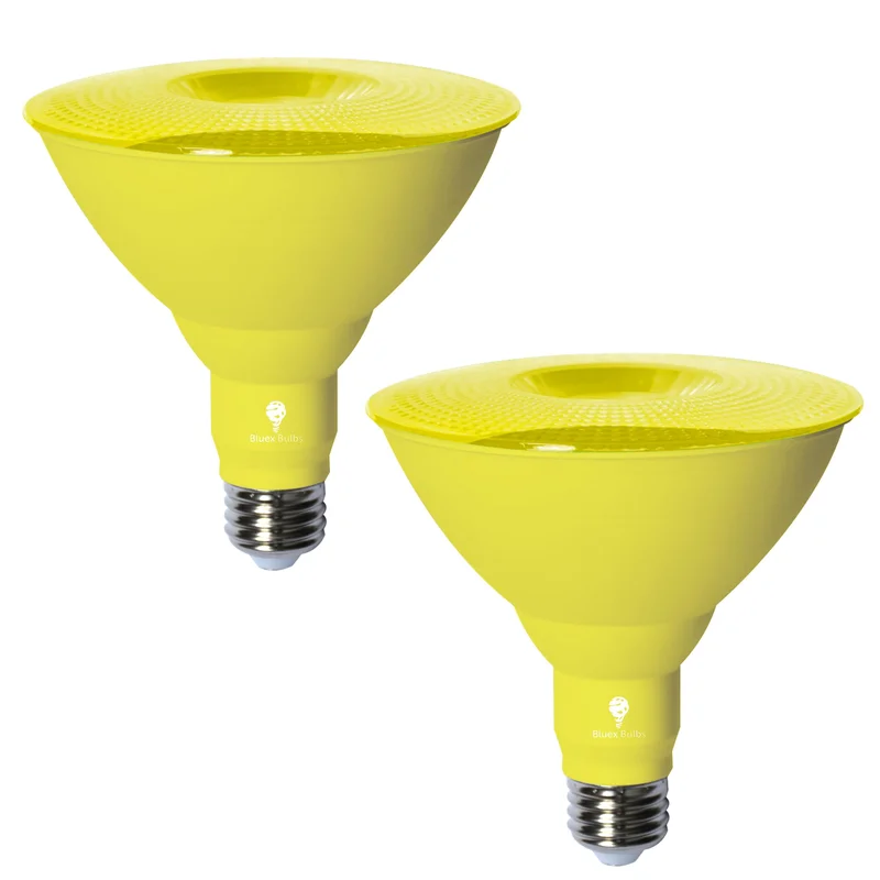 lightsdaddy658502