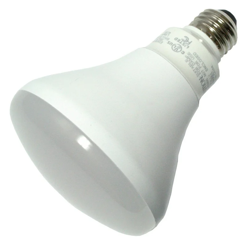 lightsdaddy661348