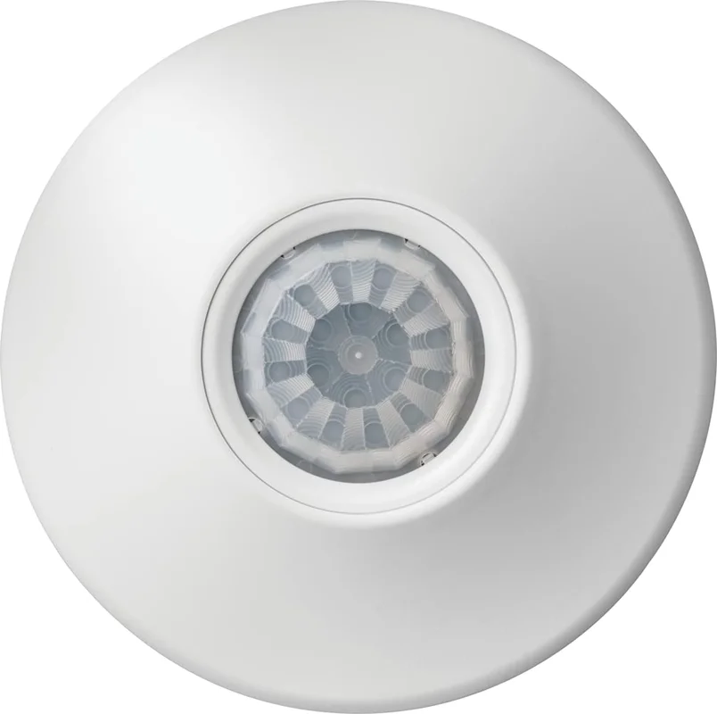 lightsdaddy661850