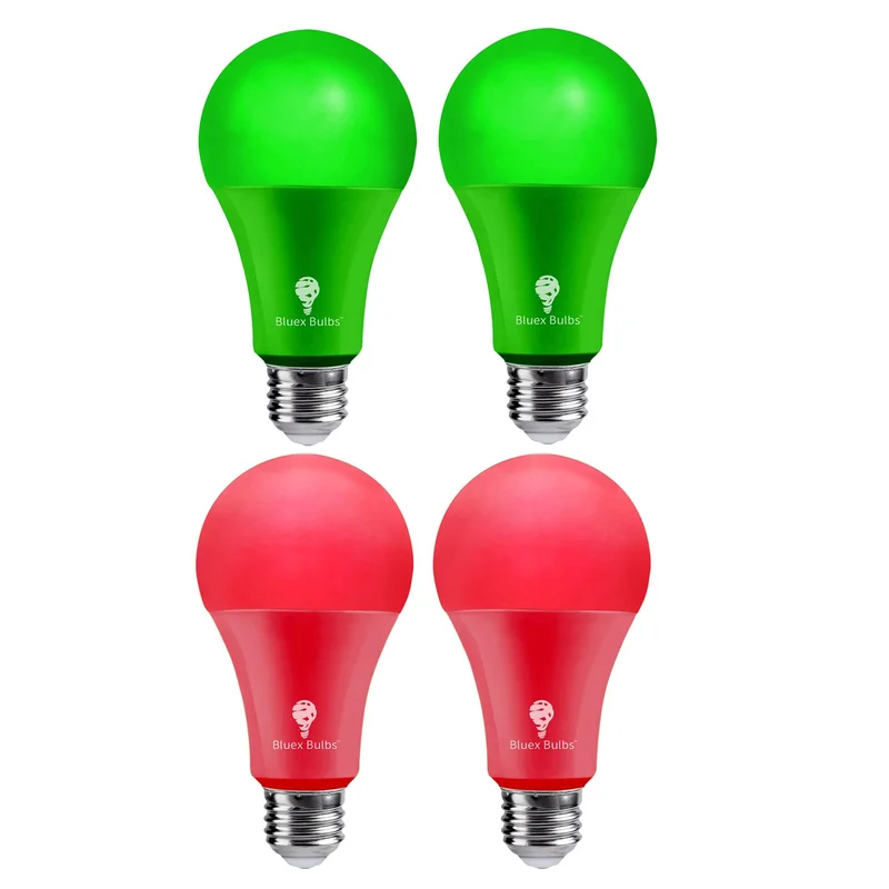 lightsdaddy662779