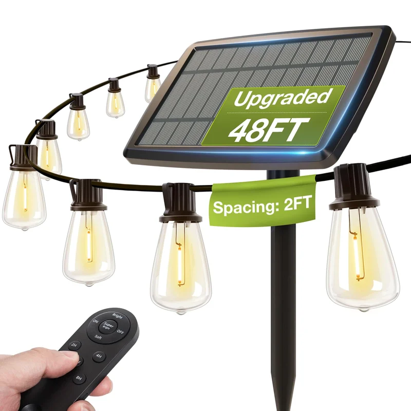 lightsdaddy664673