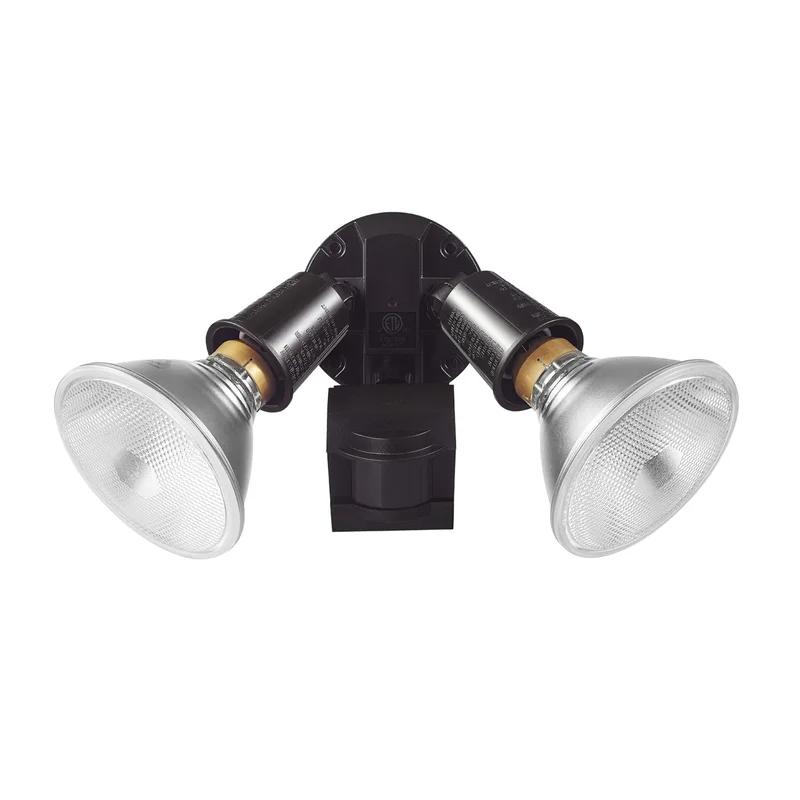 lightsdaddy665106