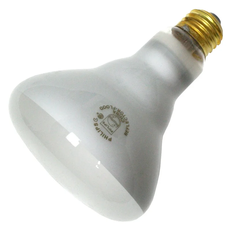 lightsdaddy671291