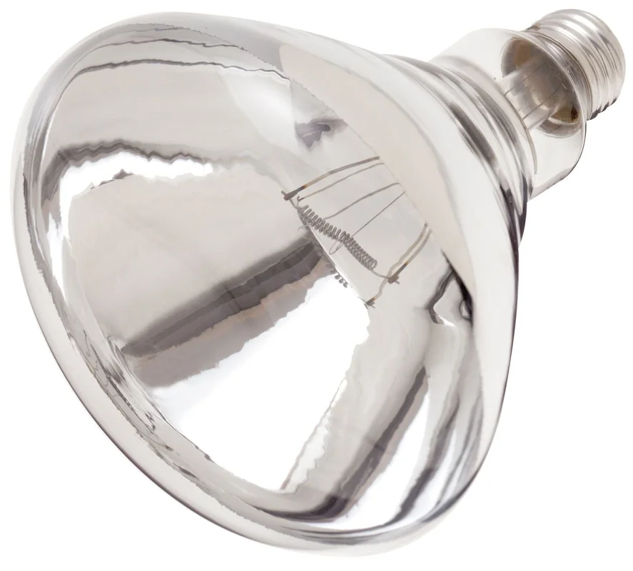 lightsdaddy67571